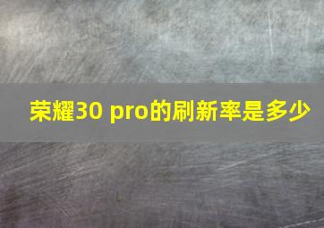 荣耀30 pro的刷新率是多少